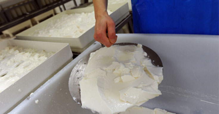 Fabrication du fromage de chevre : Etape 3 Le caillage