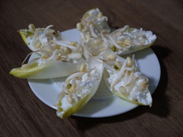 Endives au chèvre frais