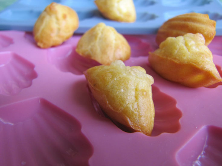 Madeleines chèvre aux noix et miel