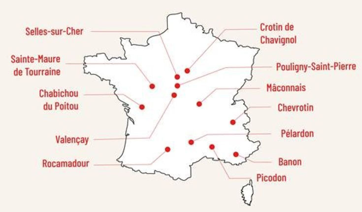 Les Fromages De Chevre Francais Les Plus Celebres Soignon