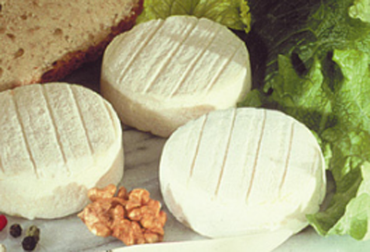 Liste Des Fromages De Chevre Francais Les Plus Celebres Soignon