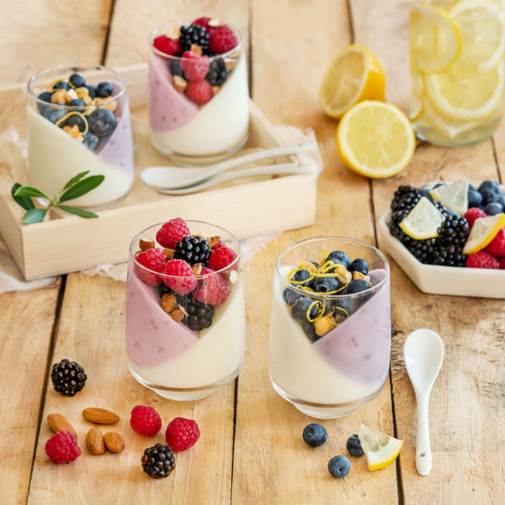 Panna cotta aux yaourts brassés fruits au lait de chèvre