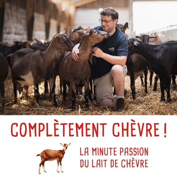 7 recettes faciles au chèvre prêtes en moins de 25 minutes