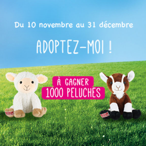 1000 peluches à gagner avec les yaourts Soignon !