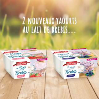 Pssst, deux nouveaux yaourts au lait de brebis sont en magasin !