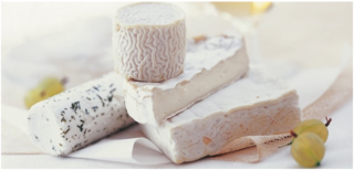 Comment conserver votre fromage de chèvre ?