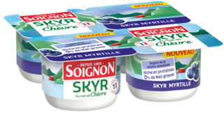 Skyr myrtille au lait de chèvre