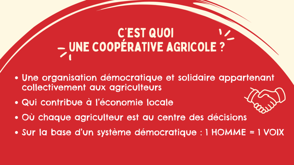 C'est quoi une coopérative agricole ?