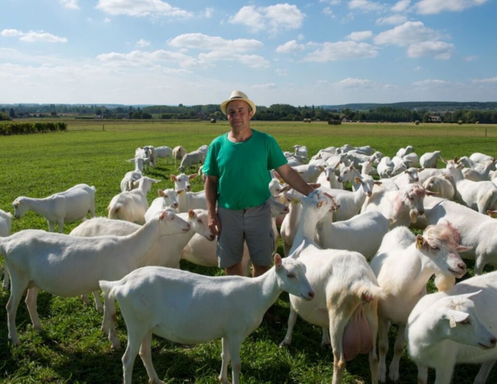 photo d'un éleveur avec des chèvres