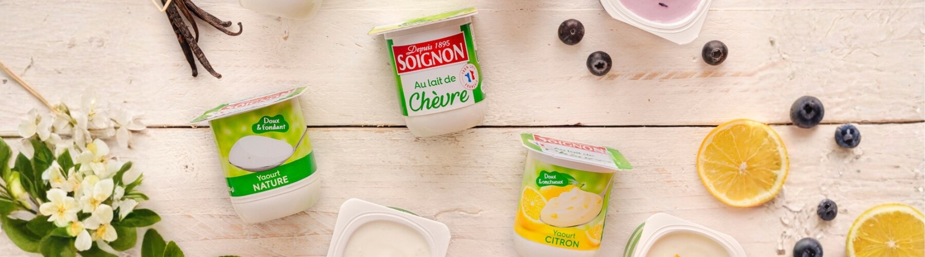 banniere-produit-yaourts-chevre-soignon