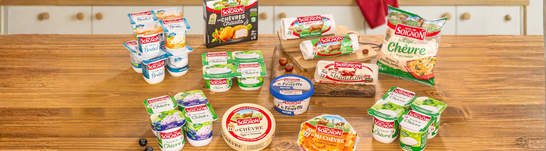 visuel-tous-nos-produits-soignon-yaourt-et-fromage
