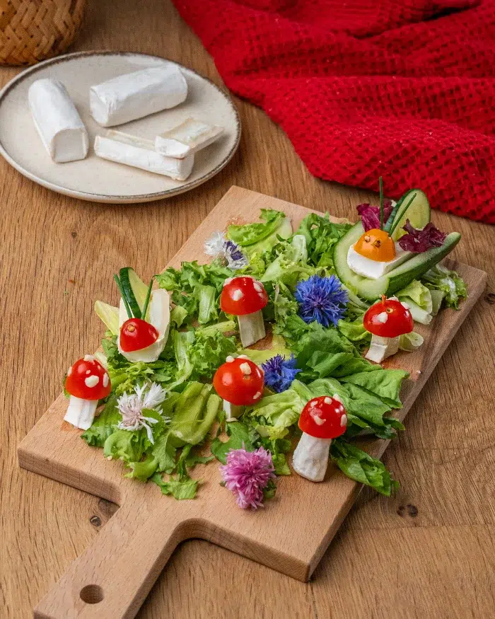 foret-enchantee-mini-buches-soignon