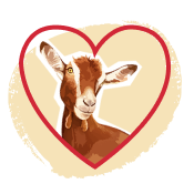 Image de la catégorie : Notre amour pour le fromage de chèvre
